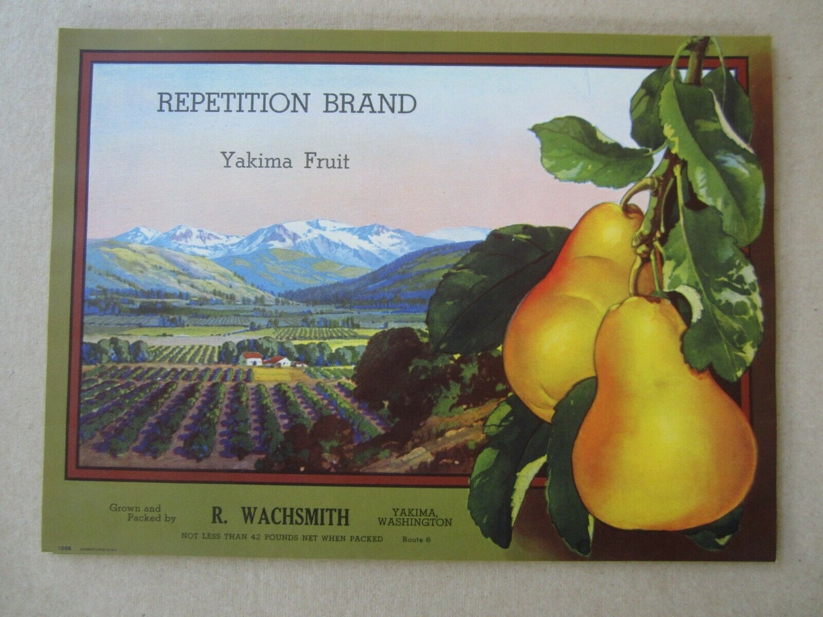  Lot of 50 Old Vintage REPETITION BRAND Pear Cr...