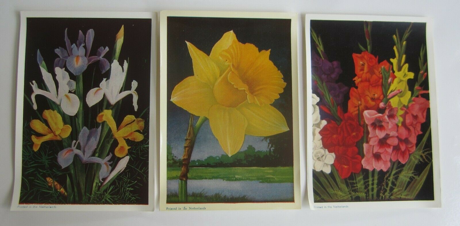 Lot of 3 Old Vintage - FLOWER PRINTS - Printed ...