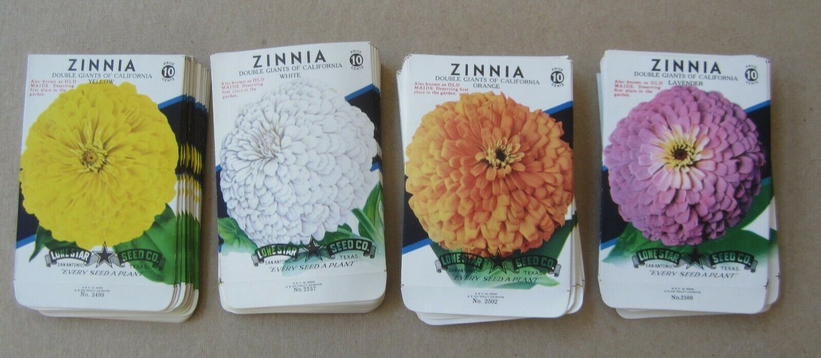 Lot of 100 Old Vintage ZINNIA FLOWER - SEED PAC...