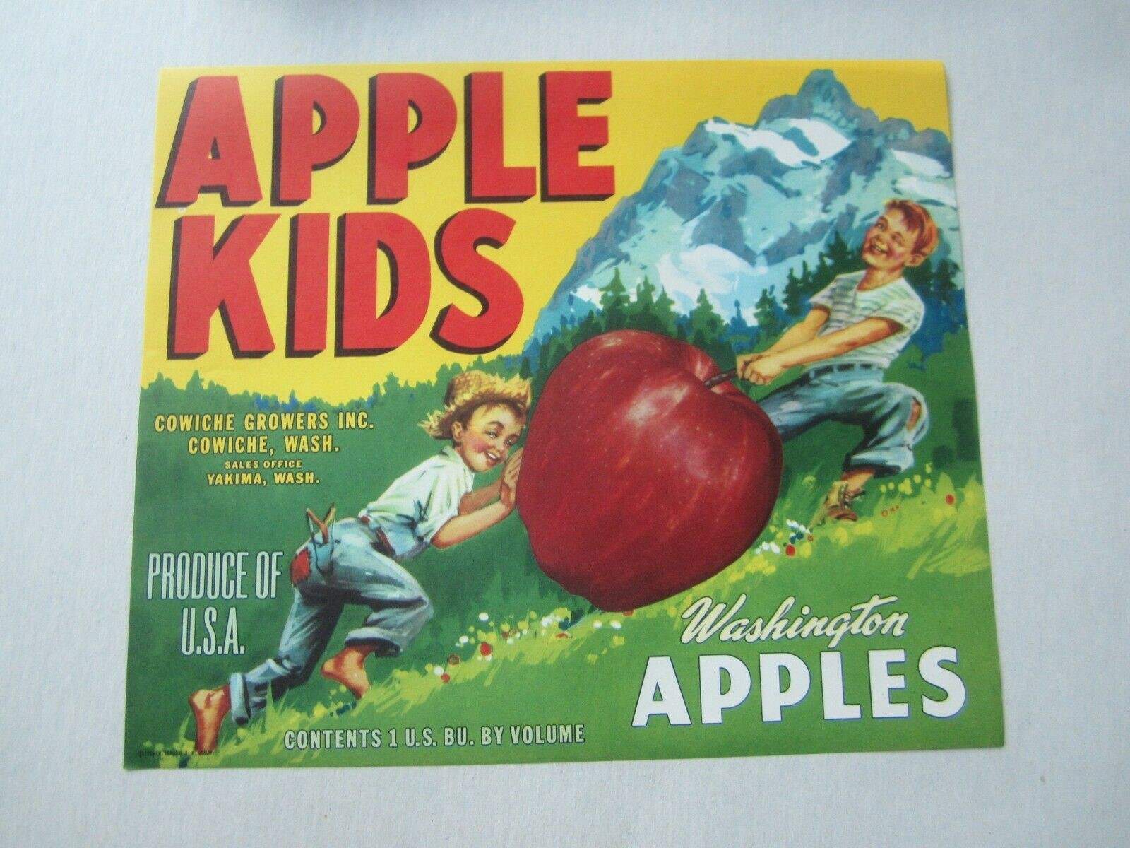 5 Old Vintage - APPLE KIDS - Apple Crate Label ...