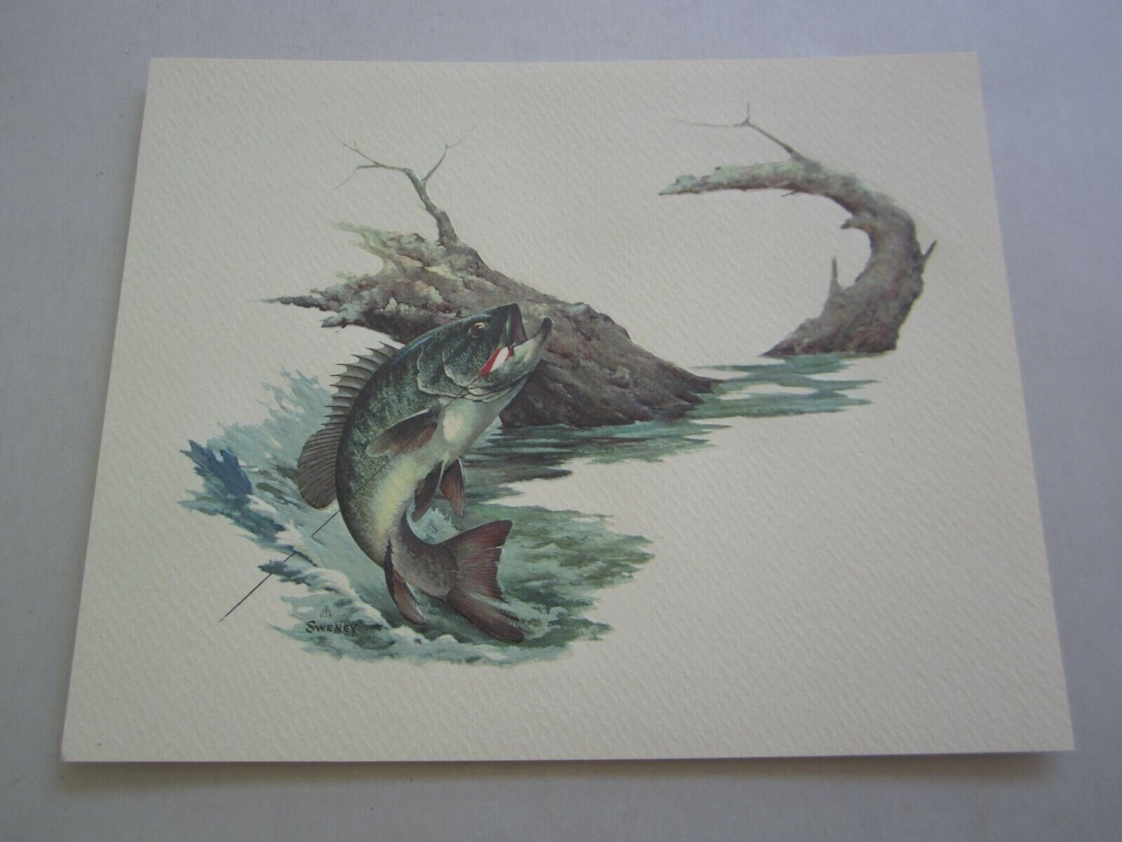 Old Vintage Wildlife PRINT - BASS - Fish - Fred...
