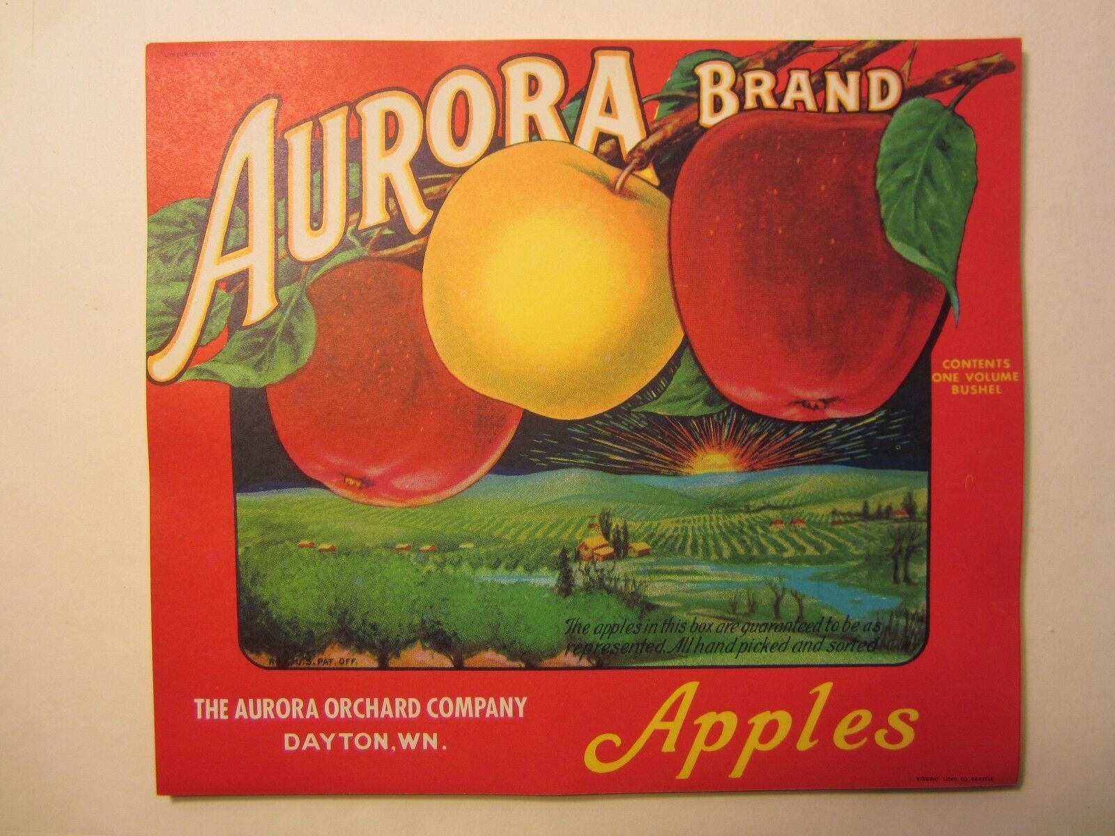  Lot of 50 Old Vintage - AURORA - Apple LABELS ...
