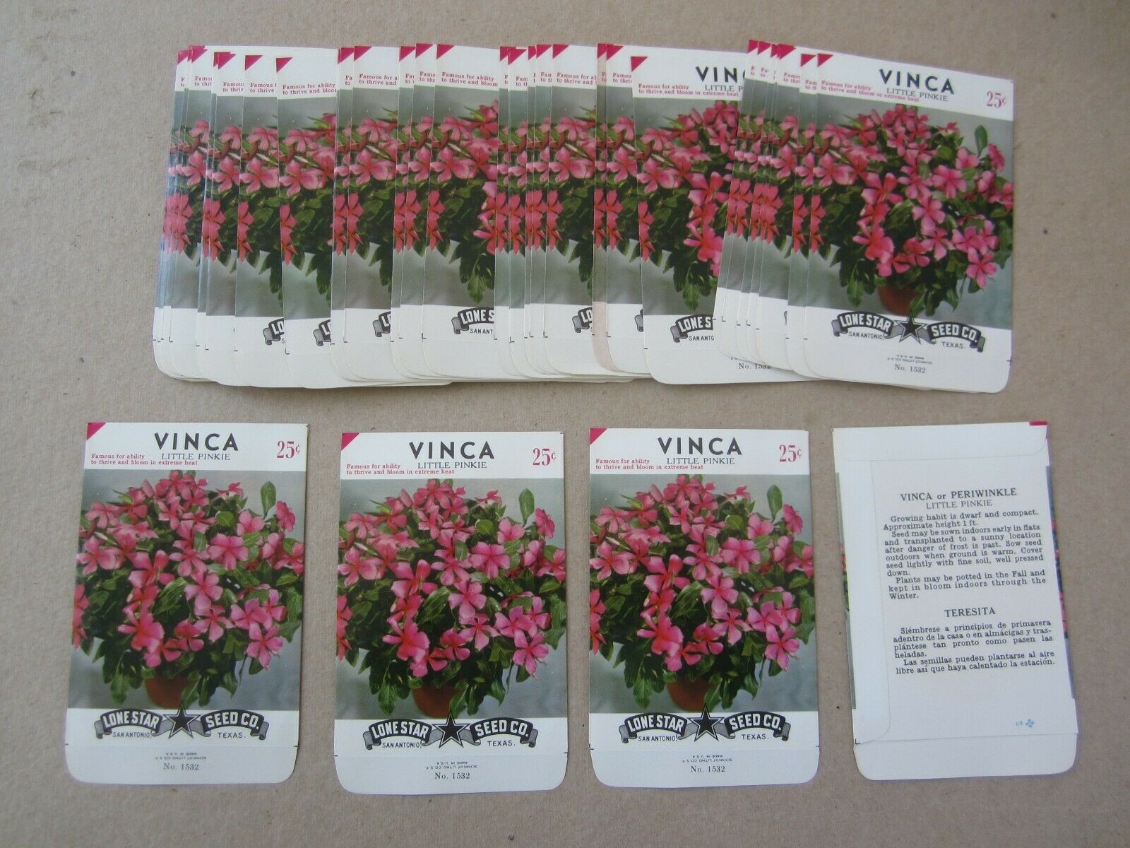  Lot of 50 Old Vintage VINCA Little Pinkie - Fl...