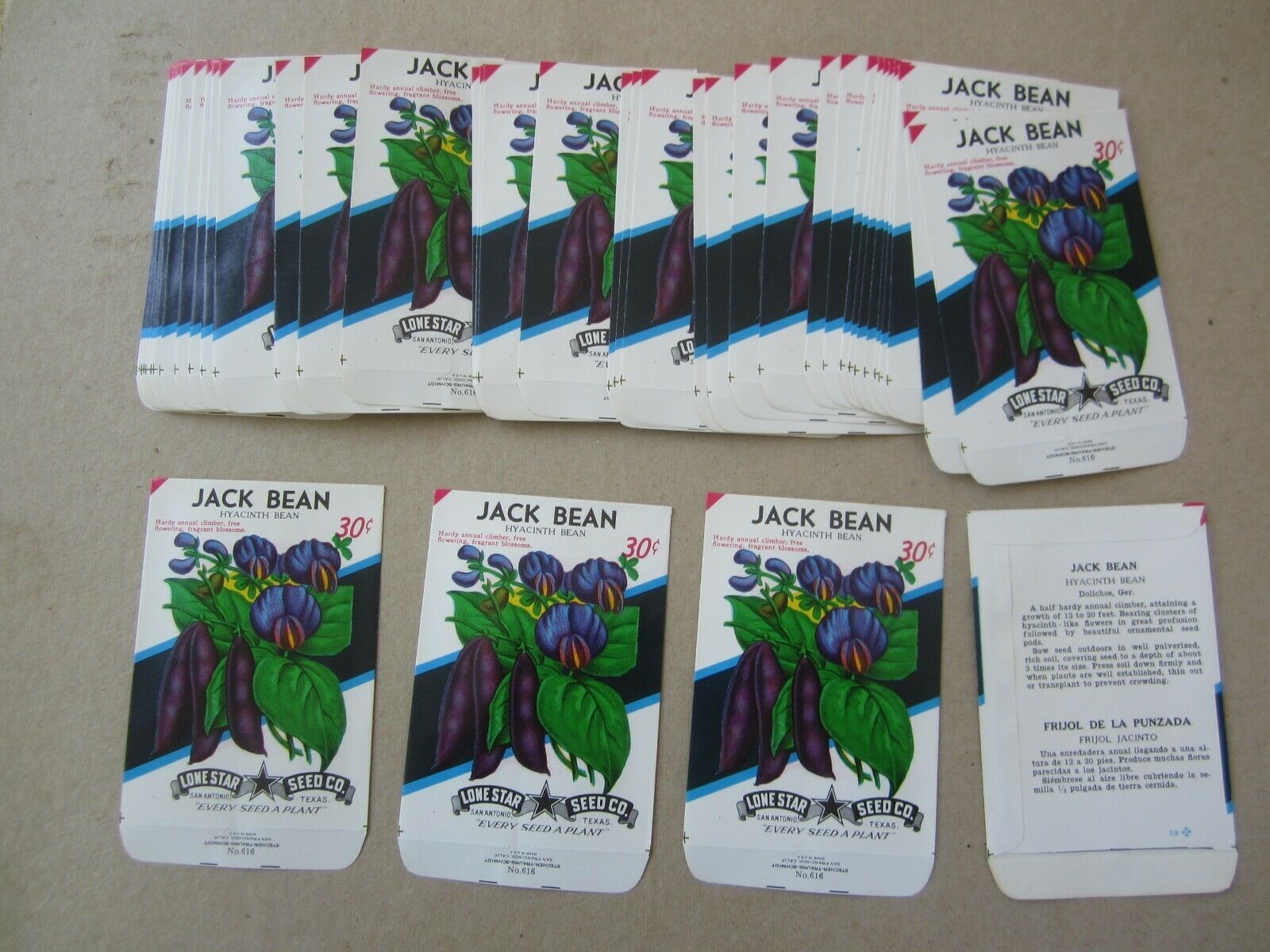  Lot of 50 Old Vintage - JACK BEAN - Hyacinth -...