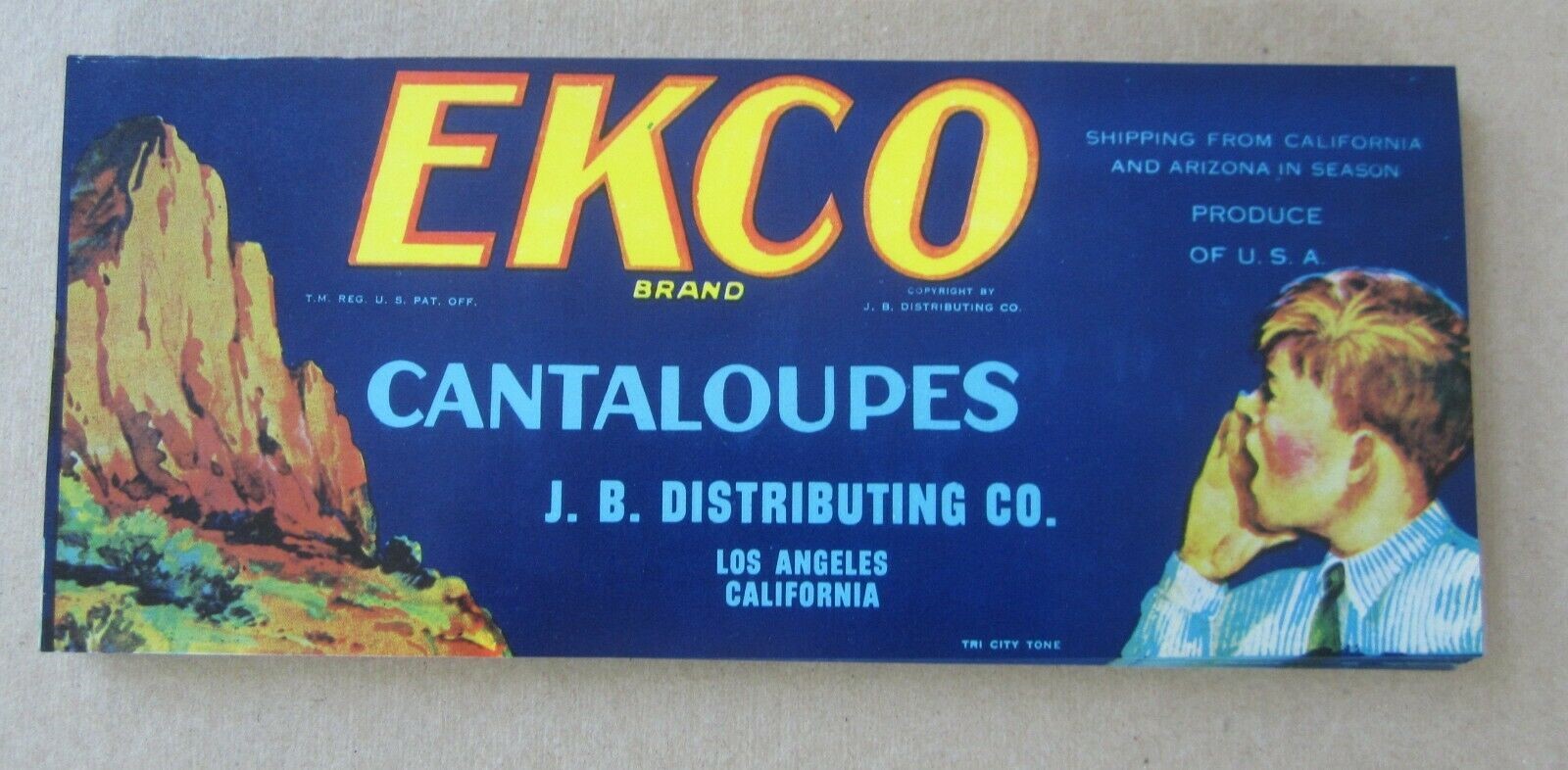  Lot of 100 Old Vintage - ECKO - Cantaloupe - L...