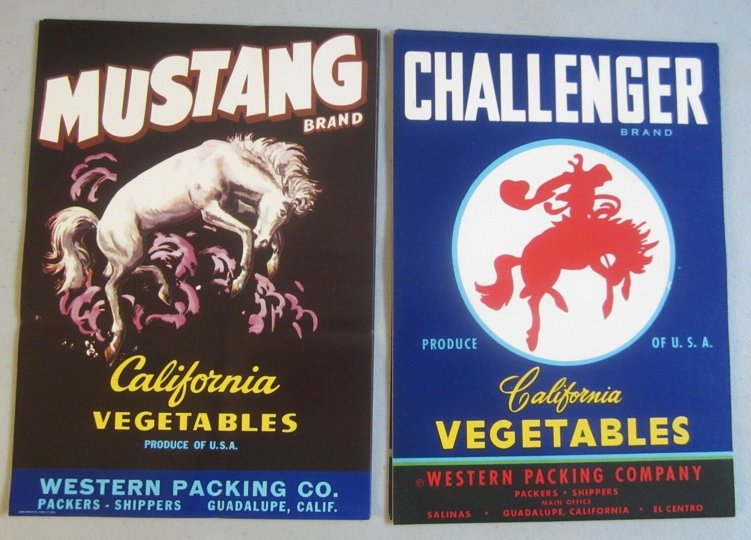  Lot of 10 Old MUSTANG / CHALLENGER Crate LABEL...