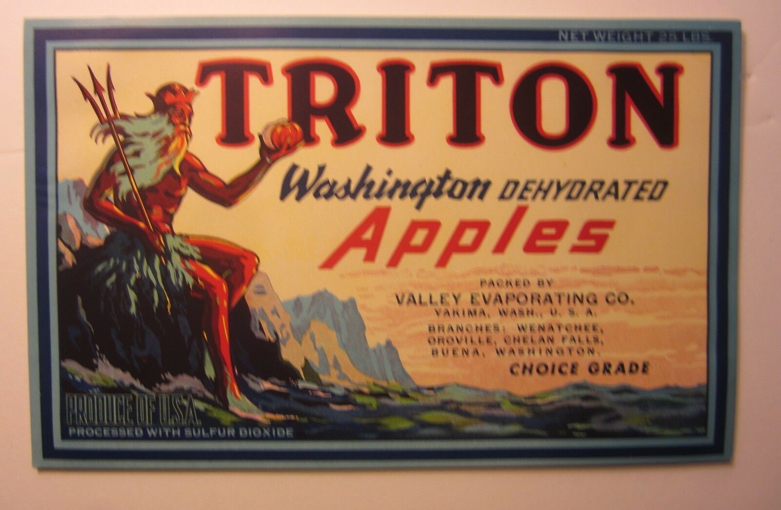 Old Vintage -TRITON - Apple LABEL - Washington
