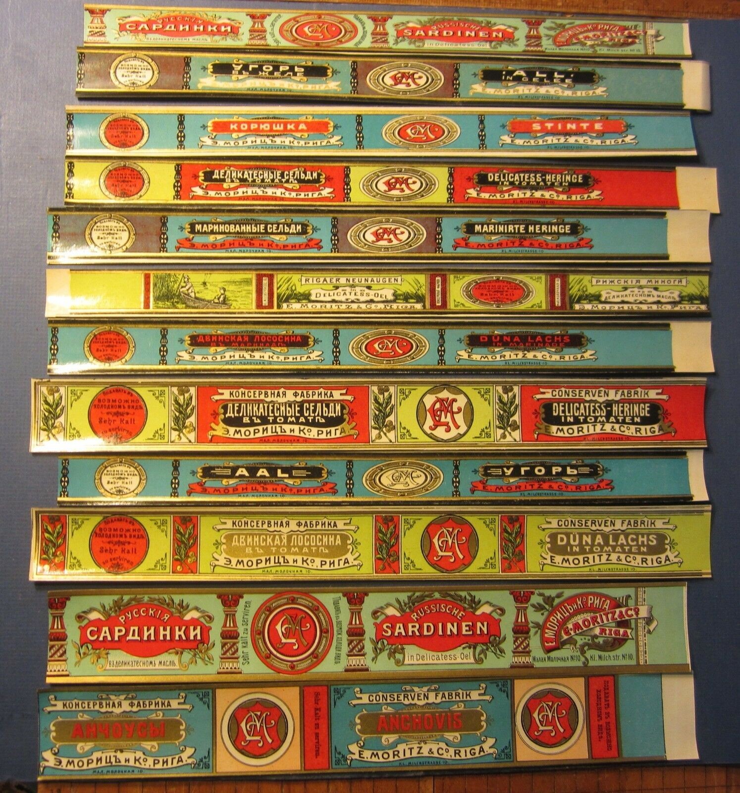 Lot of 12 Old Antique Russian - SARDINE / ANCHO...