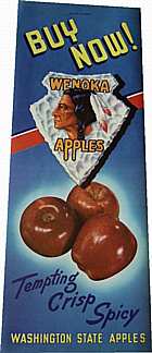 #SIGN023 - Wenoka Apples Store Poster with Indian