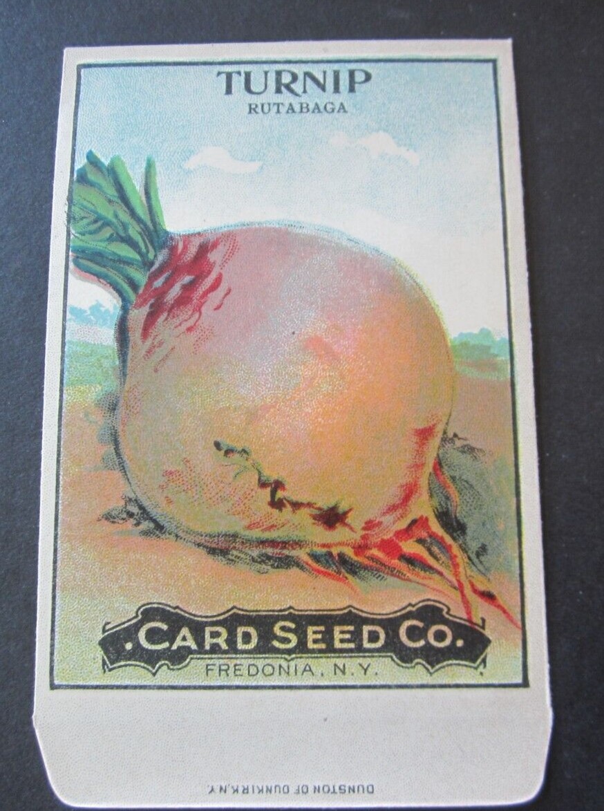 Old Vintage c.1910 - CARD SEED Co. - TURNIP - R...