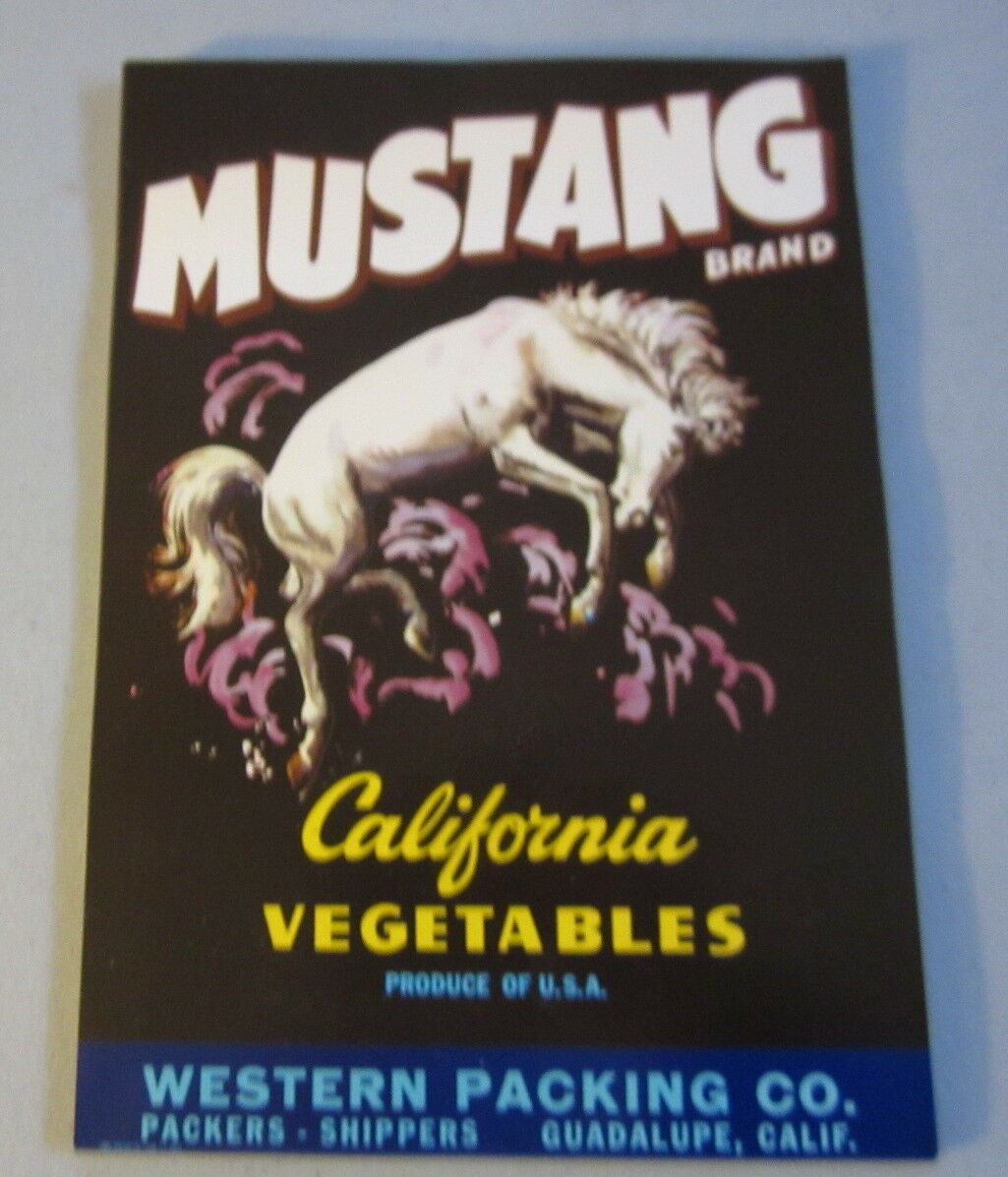  Lot of 100 Old MUSTANG Vegetable Crate LABELS ...