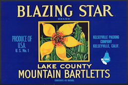#ZLC398 - Blazing Star Mountain Bartletts Pear ...
