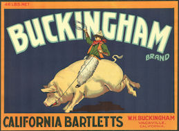 #ZLC466 - Buckingham California Bartletts Pear ...