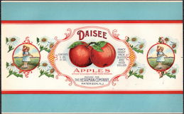 #ZLCA916 - Large Daisee Brand Apples Can Label