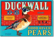 #ZLC229 - Duckwall Hood River Pears Crate Label