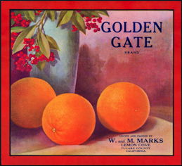 #ZLC397 - Golden Gate Brand Orange Crate Label