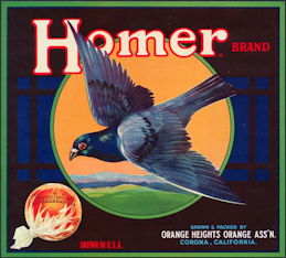 #ZLC050 - Homer Sunkist Brand Orange Crate Label