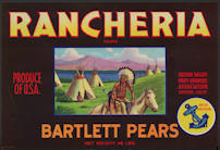 #ZLC347 - Rancheria Bartlett Pears Crate Label ...