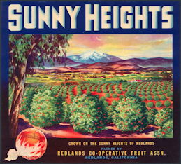 #ZLC155 - Sunny Heights Sunkist Orange Crate Label