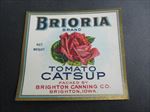 Old Vintage 1920's - BRIORIA - Tomato CATSUP - LABEL - Brighton IOWA