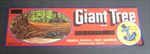 Old Vintage 1940's - GIANT TREE - Grape LABEL - SEQUOIA - Woodlake CA.