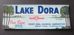 Old Vintage - LAKE DORA - Crate LABEL - Mount Dora FLORIDA