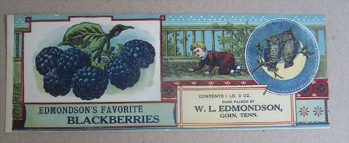 Old Vintage 1910's - Edmonson's BLACKBERRIES Can LABEL - Goin Tennessee - OWL 