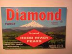  Lot of 100 Old Vintage DIAMOND Pear CRATE LABELS - Hood River - Oregon