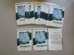  Lot of 50 Old Vintage 1940's MOONFLOWER Flower SEED PACKETS - Empty