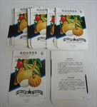  Lot of 25 Old Vintage 1950's Ornamental - GOURDS - SEED PACKETS Empty