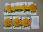  Lot of 50 Old Vintage - MARIGOLD - Sunset - Flower SEED PACKETS  Empty