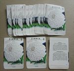  Lot of 50 Old Vintage 1950's ZINNIA White Flower SEED PACKETS - Empty