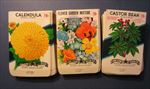  Lot of 150 Old Vintage - Flower - SEED PACKETS - 20 Cent - EMPTY 20B