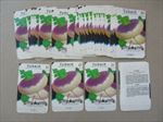  Lot of 50 Old Vintage - TURNIP - Purple Top - SEED PACKETS - Empty