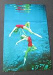 Old Vintage - WEEKI WACHEE Florida - POSTCARD - Underwater Adagio