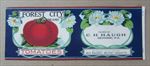 Old Vintage 1920's - FOREST CITY - Tomatoes - CAN LABEL - C.H HAUGH Benore PA. 