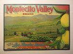  Old Vintage 1920's - MONTECITO VALLEY - Lemon LABEL - Santa Barbara Co.
