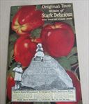 Old Vintage 1924 STARK BRO'S NURSERIES - Apple / Fruit CATALOG - Louisiana MO. 