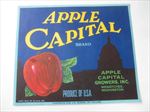 Old Vintage 1940's - APPLE CAPITAL - Apple Crate LABEL - Wenatchee WASH.