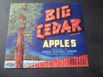 Old Vintage 1950's - BIG CEDAR - Tree - APPLE LABEL - Wenatchee WASH.