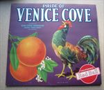  Lot of 50 Old Vintage - VENICE COVE - ORANGE LABELS - ROOSTER - CA. 