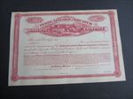 1870's - PEKIN LINCOLN and DECATUR Railway - STOCK CERTIFICATE - Illinois