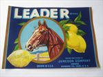 Old Vintage 1930's - LEADER - Sunkist Lemon LABEL - HORSE - Corona CA.