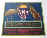 Old Vintage 1930's - ANA CO - Grape Fruit LABEL - Kangaroo - Emu - AUSTRALIA