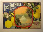  Old Vintage 1920's - LAS FUENTES Lemon Crate LABEL - Santa Barbara Co.