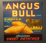  Lot of 25 Old Vintage ANGUS BULL Sweet Potatoes LABELS - Church Point