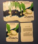  Lot of 100 Old Vintage - TURNIP - Shogoin - Vegetable SEED PACKETS 