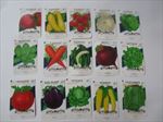 Lot of 15  - VEGETABLE - Seed Packets - San Antonio Texas - EMPTY