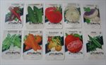 Lot of 10  1950's-1960's - VEGETABLE Seed Packets - TEXAS - EMPTY