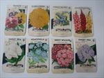 Lot of 8  1940's FLOWER Seed Packets - Lone Star - TEXAS - EMPTY